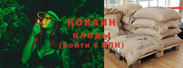 PSILOCYBIN Богородицк