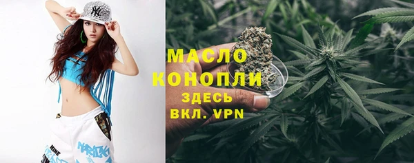 дживик Богородск