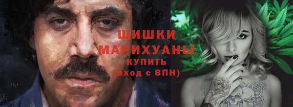 ПСИЛОЦИБИНОВЫЕ ГРИБЫ Богданович