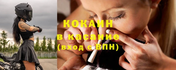 дживик Богородск