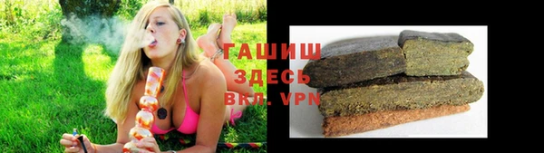 ПСИЛОЦИБИНОВЫЕ ГРИБЫ Богданович