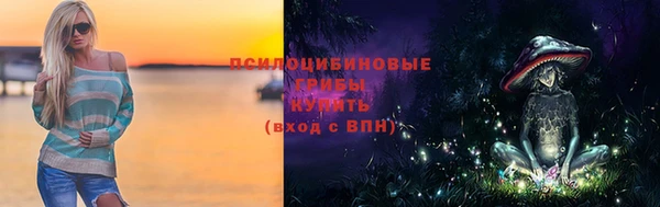 дживик Богородск