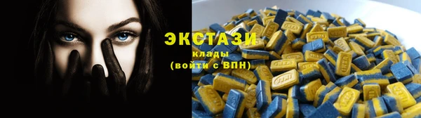 дживик Богородск