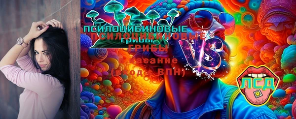 ПСИЛОЦИБИНОВЫЕ ГРИБЫ Богданович