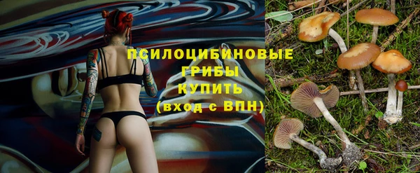 дживик Богородск
