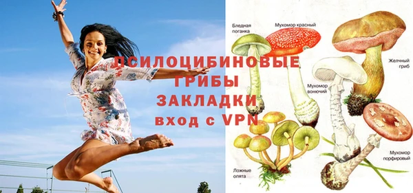 дживик Богородск