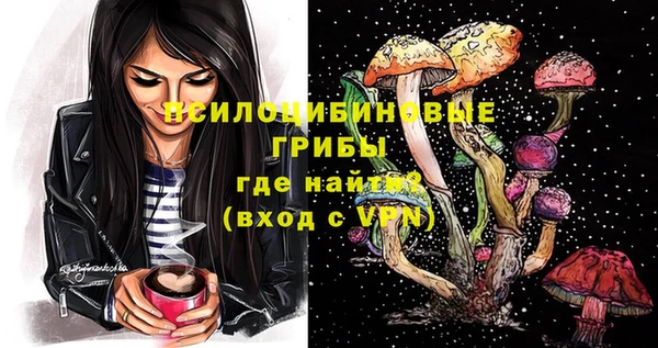 ПСИЛОЦИБИНОВЫЕ ГРИБЫ Богданович