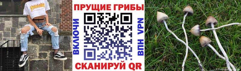 Псилоцибиновые грибы ЛСД  Старый Оскол 