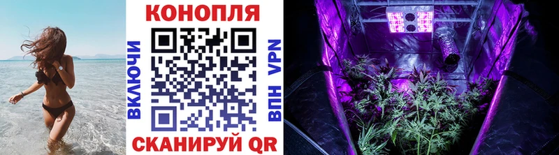 ОМГ ОМГ онион  Старый Оскол  Бошки марихуана OG Kush  где найти  